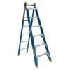 Step Extension Ladder 1