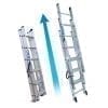 Triple Extension Ladders 1